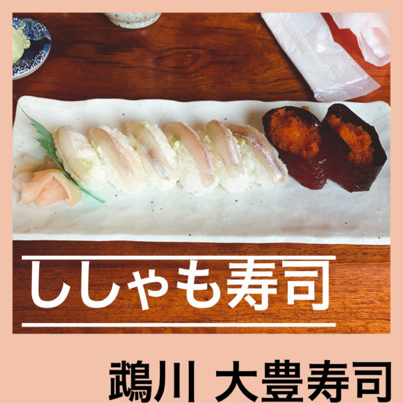まとめ むかわ町の 大豊寿司 の ししゃも寿司 と スズキ 大野商店 の推しは まひろ なまら北海道のひと